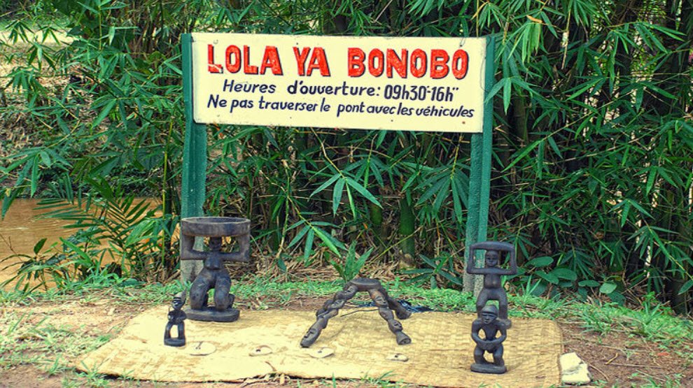 Lola ya Bonobo Sanctuary, Near Kinshasa, DR Congo